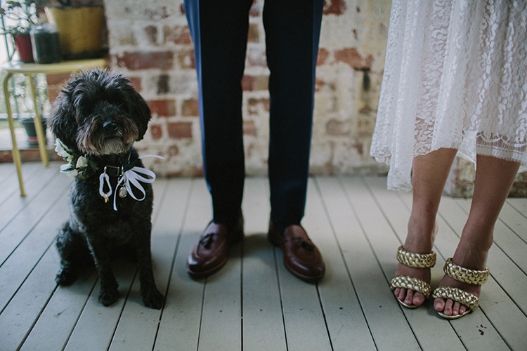 Dogs and weddings